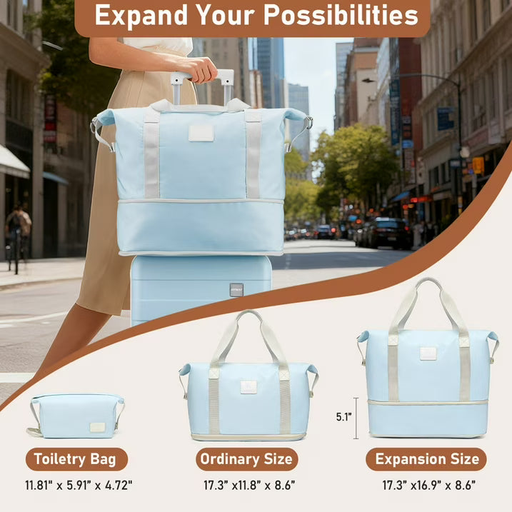 Dluxe Ave. Carry on Luggage/Airline Approved/ Hardside/Spinner Wheels/TSA Lock (Blue) 20-Inch)