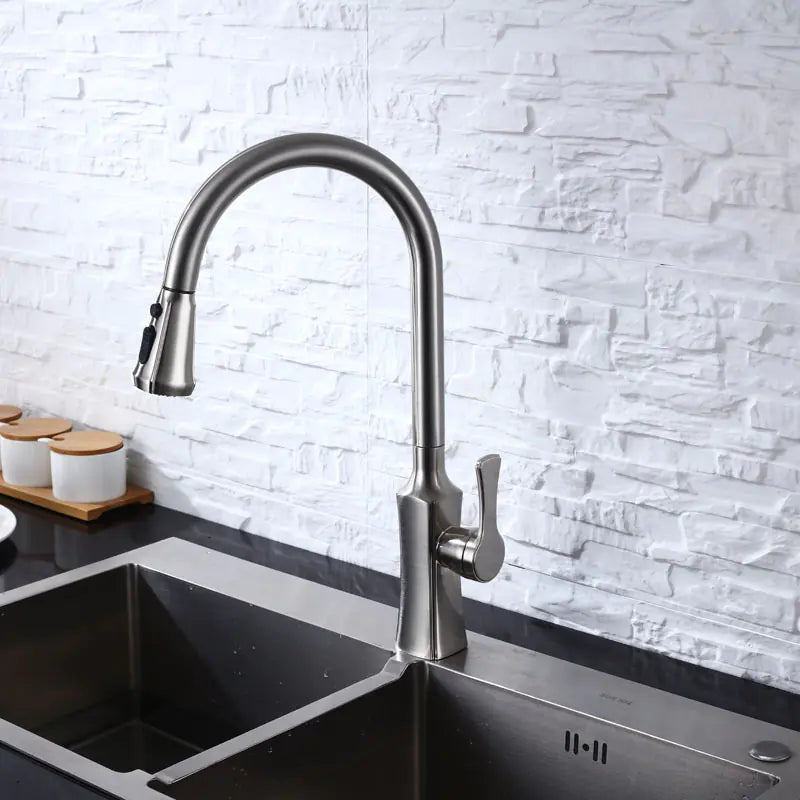 Dluxe Ave. Black Pull-Out Rotating Sink Faucet for Hot and Cold Water