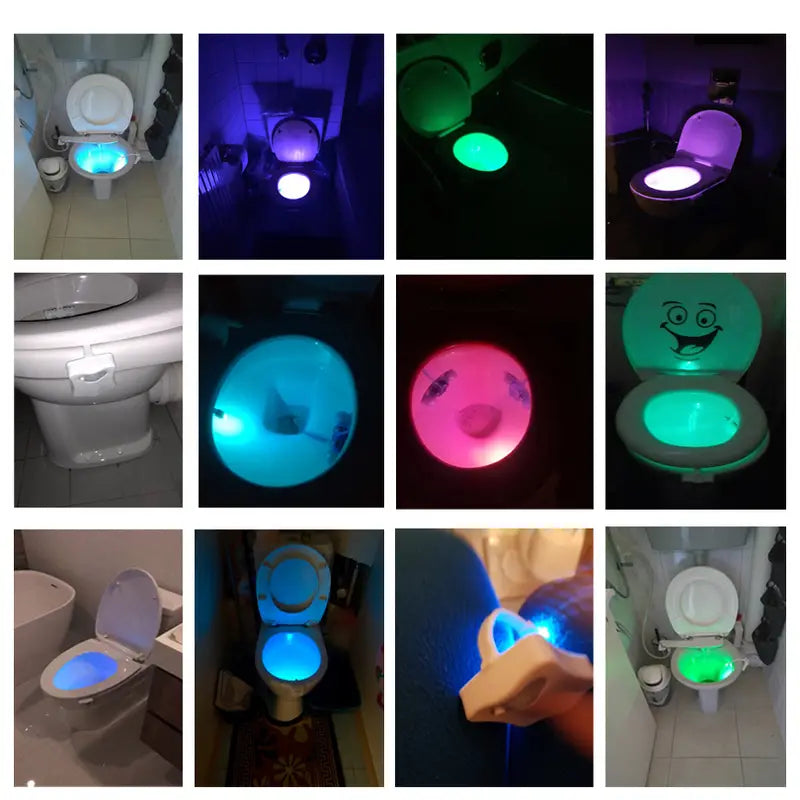 Dluxe Ave. LED Toilet Night Light with PIR Motion Sensor (16 Colors)