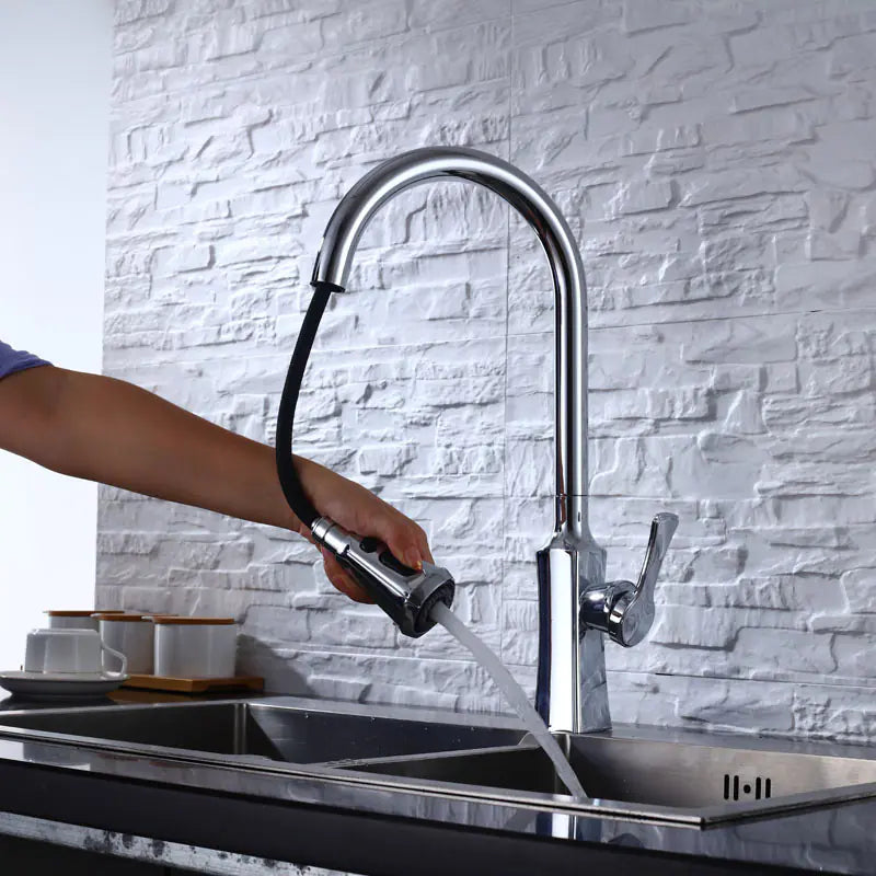 Dluxe Ave. Black Pull-Out Rotating Sink Faucet for Hot and Cold Water