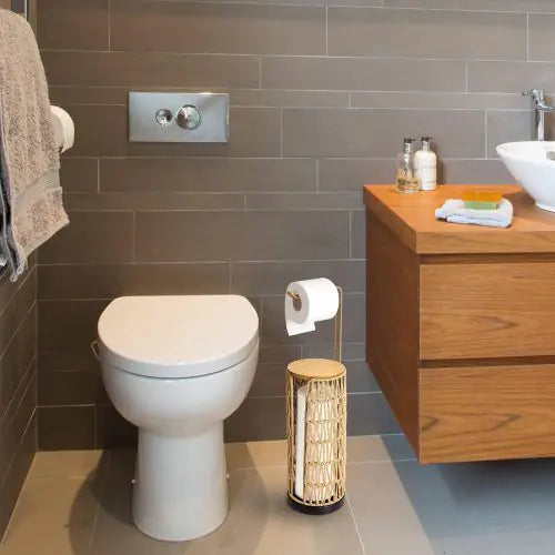 Dluxe Ave. Independent Toilet Paper Holder With Storage Space