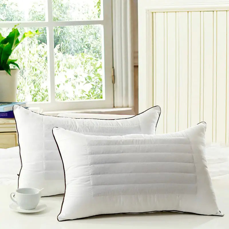 Dluxe Ave. Single-Noodle Buckwheat Pillows/ Set of 2