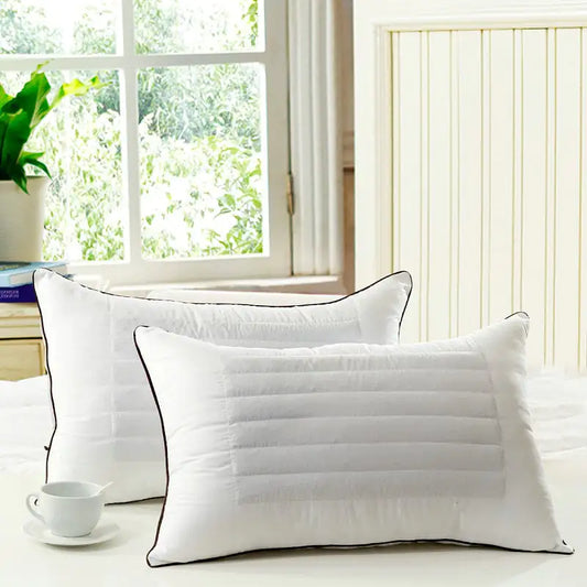 Dluxe Ave. Single-Noodle Buckwheat Pillows