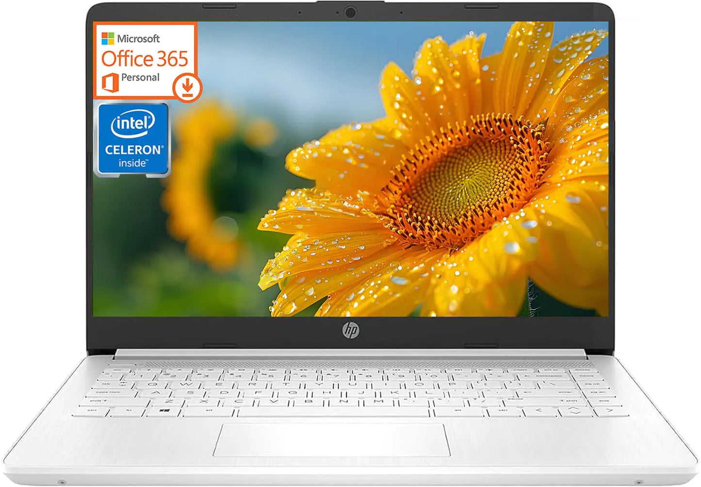 Dluxe Ave. HP 14 Laptop UltraLight Notebook 16GB RAM 320GB Storage(64GB eMMC+256GB MSD)