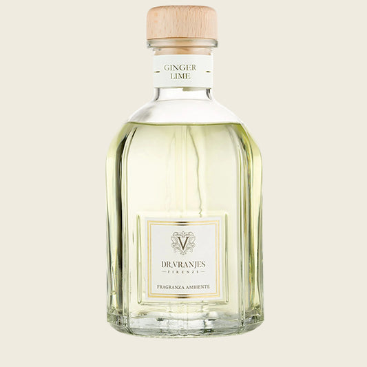 Dluxe Ave. Ginger and Lime Crystal Room Diffuser/ 500 ml