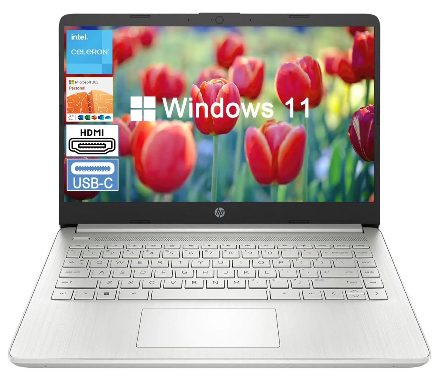 Dluxe Ave. HP 2024 Stream 14 inch Laptop Silver Laptop 16GB RAM + 128GB Win 11 S