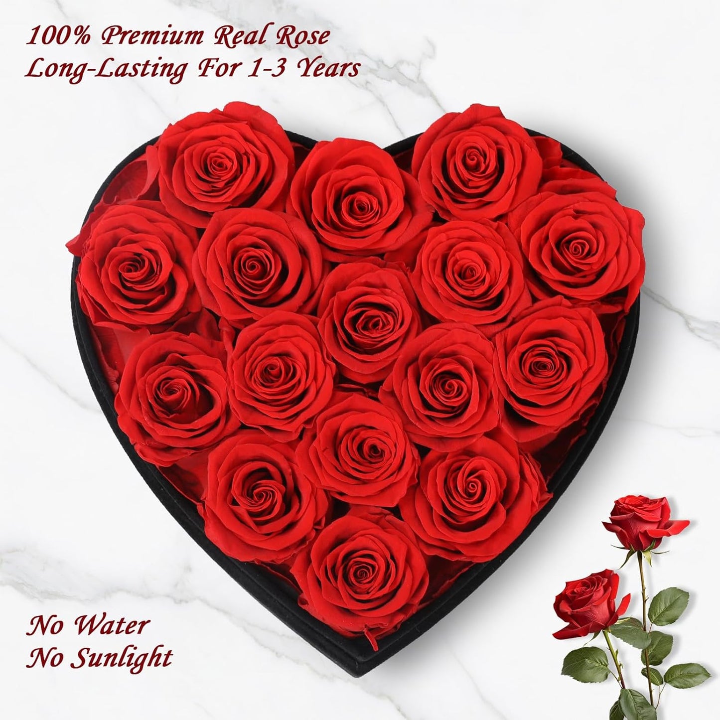 Dluxe Ave. Luxury Forever Real Roses in Suede Box/ 16Pcs (Red)